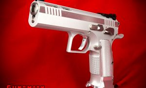 Gunsmith Bros Tangfo 4.3 Standard Race Gun