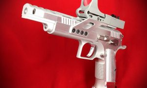 Gunsmith Bros Tangfo Open Race Gun